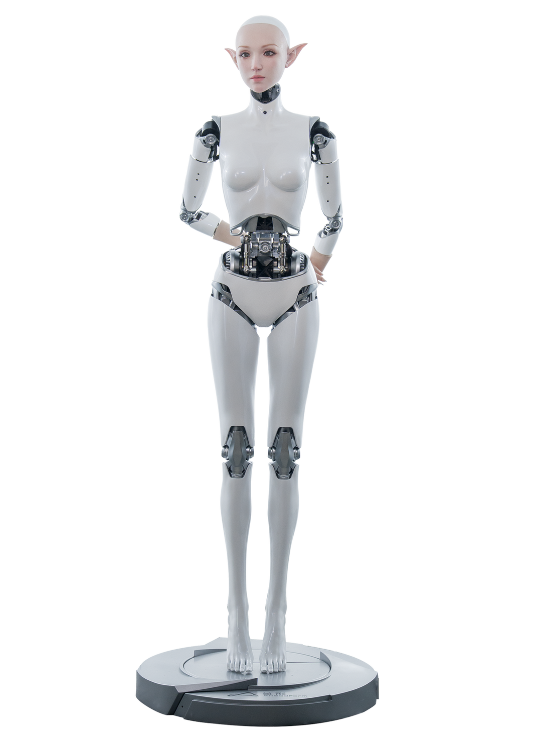 ECHO 02